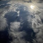 Data Scientists v. Statisticians: Delineating Roles and Effective Deployment